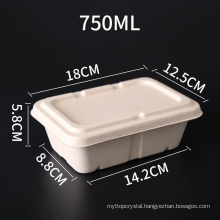 Wholesale Disposable Biodegradable Eco Sugarcane Bagasse Tray